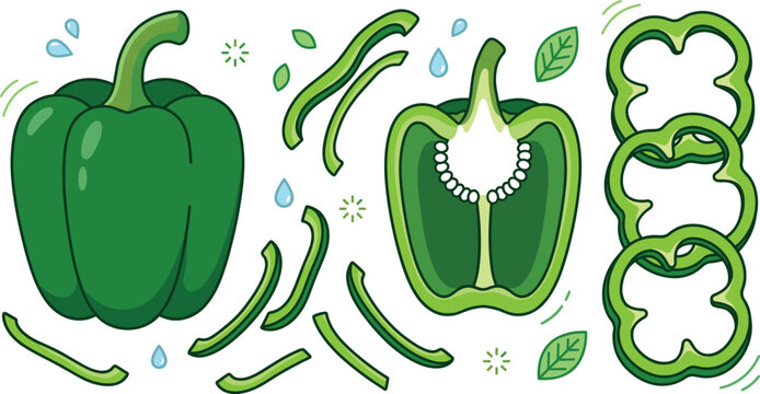 Green bell pepper vector illustration set with whole sweet capsicum half sliced section round rings strips and leaves