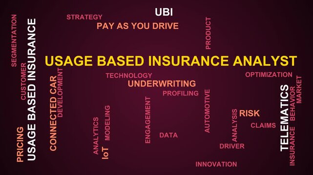 Usage Based Insurance Analyst Word Cloud