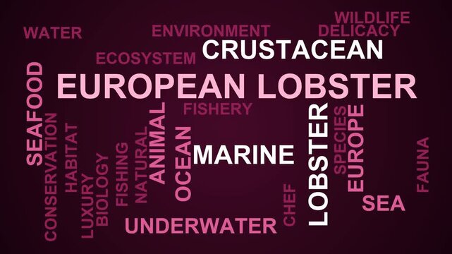 European Lobster Word Cloud