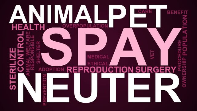 Spay Word Cloud