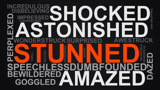 Stunned Word Cloud