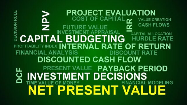 Net Present Value Word Cloud