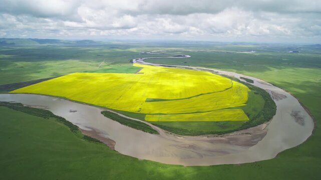 High-Angle Aerial Wide View of Meandering Baihe River and Golden Rapeseed Flower Field in Zoige Wetland: Winding River Bend, Lush Grassland, Blue Sky and Cloud Background