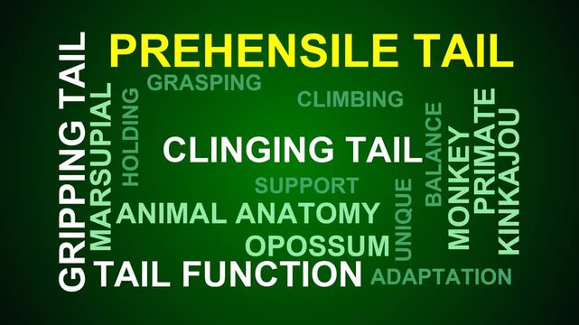 Prehensile Tail Word Cloud