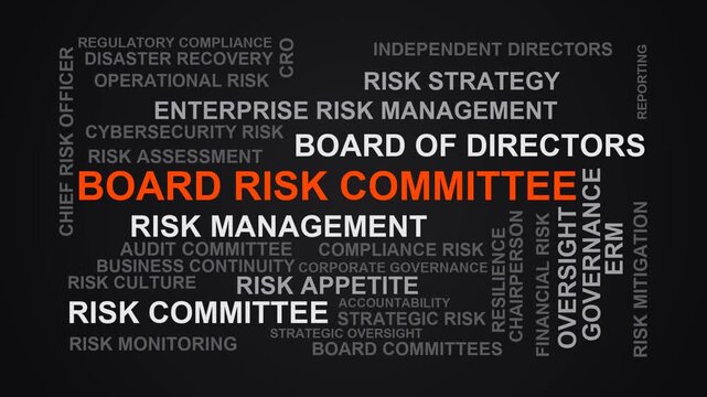 Board Risk Committee Word Cloud
