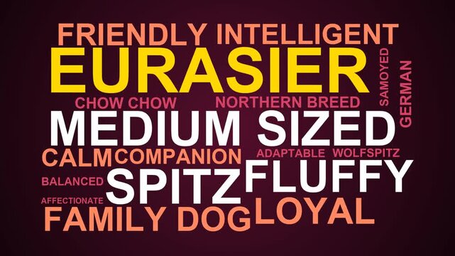 Eurasier Word Cloud