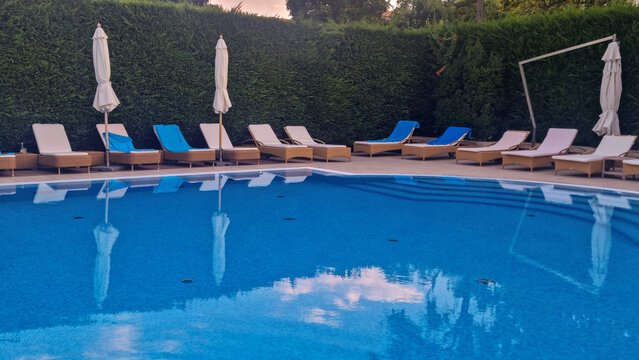 Swimming pool with lounge chairs, closed umbrellas and hedge surrounding the pool. Swimming and vacation concept