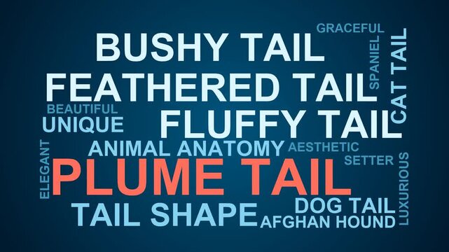 Plume Tail Word Cloud