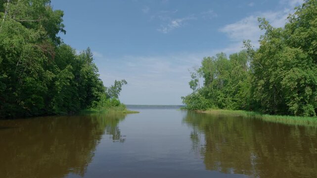 Green lush coasts of the river with brown murky water