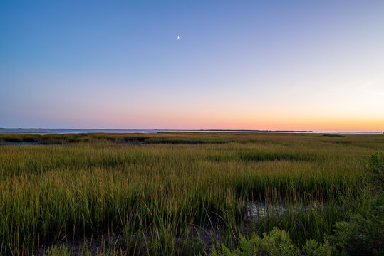Saltmarsh on the Virginia coast in the golden sun at sunset with crescent moon.  A coastal salt marsh or tidal marsh is located between land and brackish water that is regularly flooded by the tides.