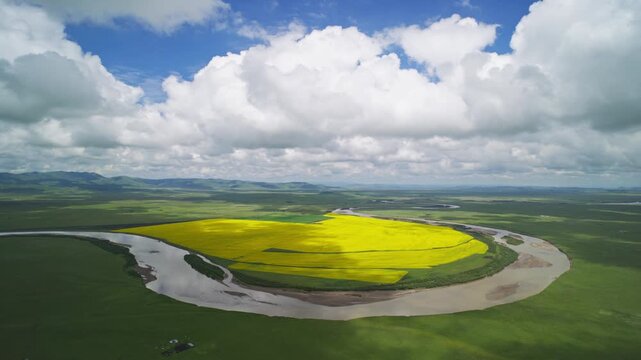 High-Angle Aerial Wide View of Meandering Baihe River and Golden Rapeseed Flower Field in Zoige Wetland: Winding River Bend, Lush Grassland, Blue Sky and Cloud Background