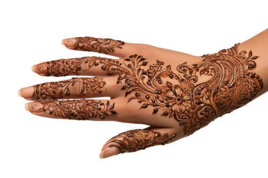 Elegant traditional bridal mehndi hand art with intricate henna designs on transparent background