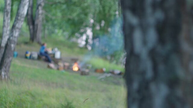 Person camping alone in the forest