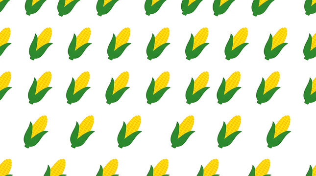Seamless pattern of yellow corn cobs