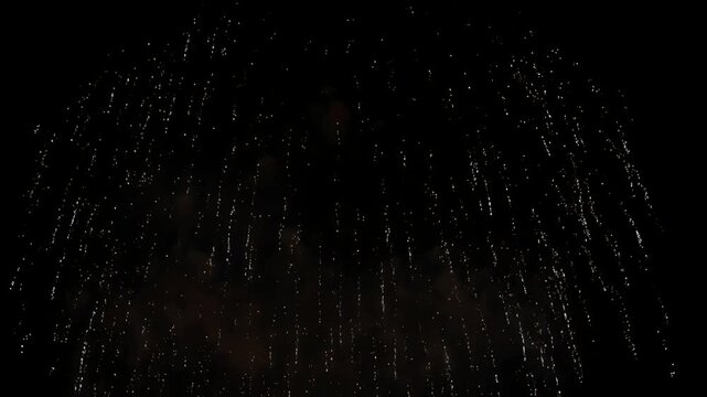 Silver Willow Fireworks Cascading Down in the Night Sky