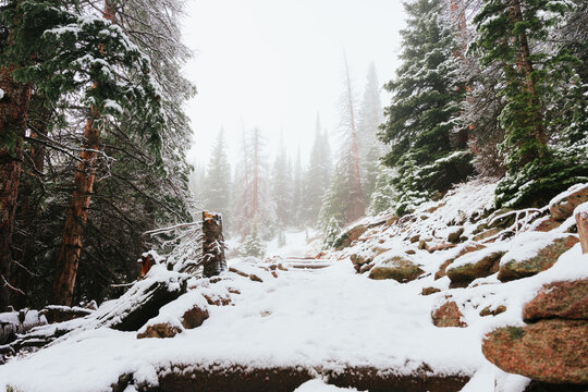 SNOWY PATH IN THE ROCKY MOUNTAINS NATIONAL PARK