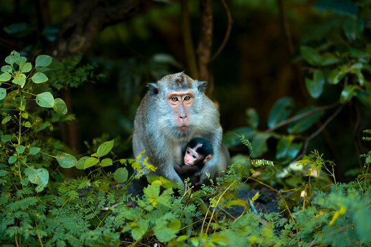MOTHER AND CHILD