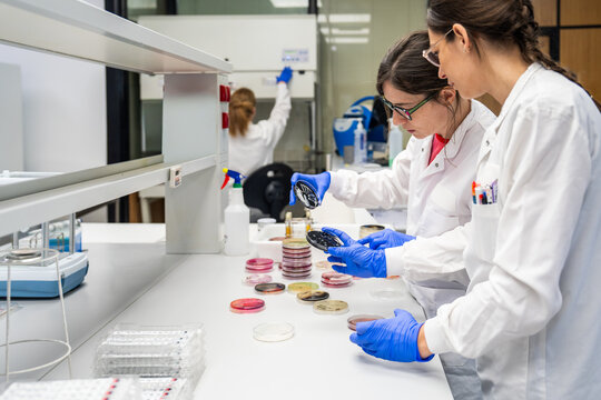 Scientists Conduct Experiments in a Laboratory Setting