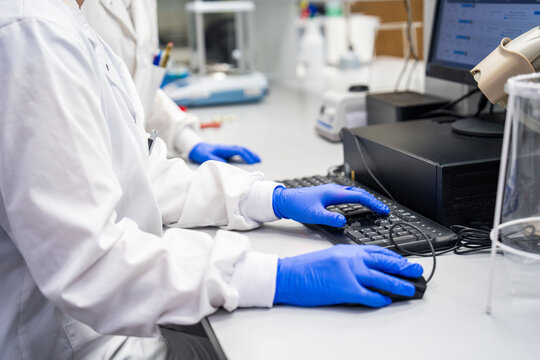Lab Workers Using Computer in Research Facility in the Afternoon