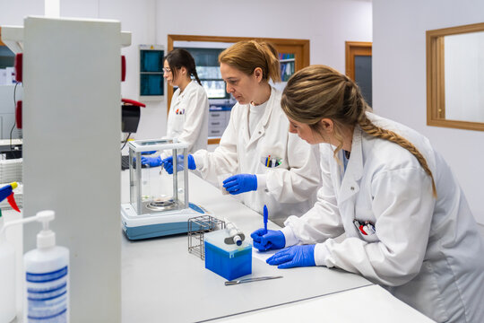 Scientists Work in a Laboratory on Experiments and Research Tasks