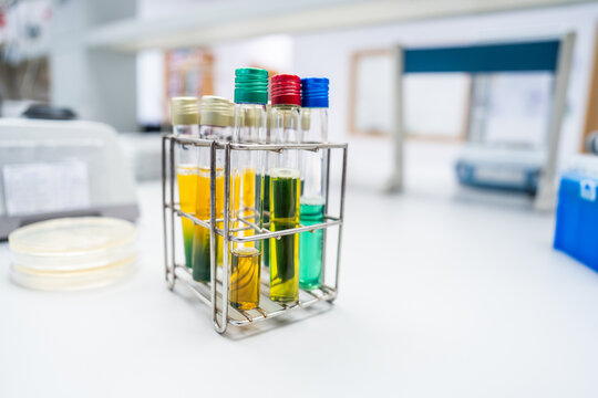 Test Tubes Filled With Different Colored Liquids on Lab Table
