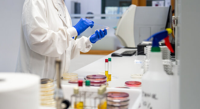 Laboratory Work With Samples and Equipment in a Research Facility