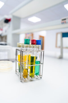 Test Tubes With Different Liquids in a Laboratory Setting