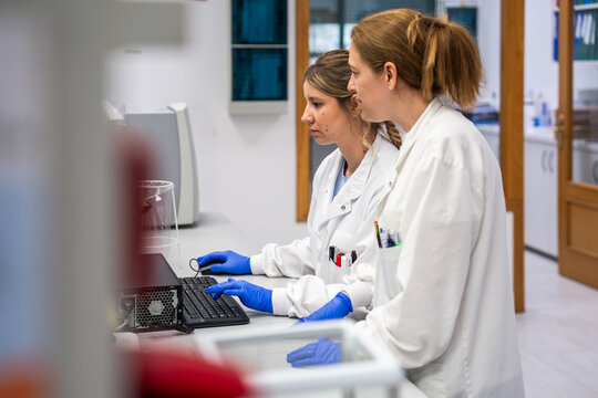 Scientists Work Together in a Laboratory During a Research Project
