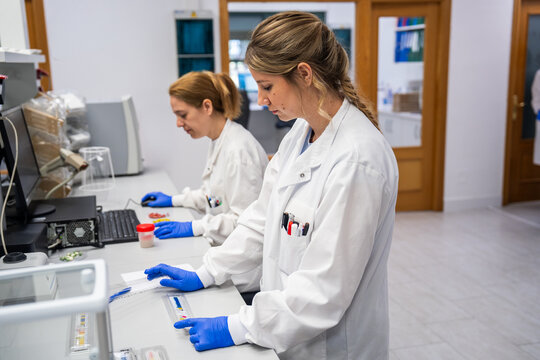 Laboratory Workers Analyze Samples During a Research Project