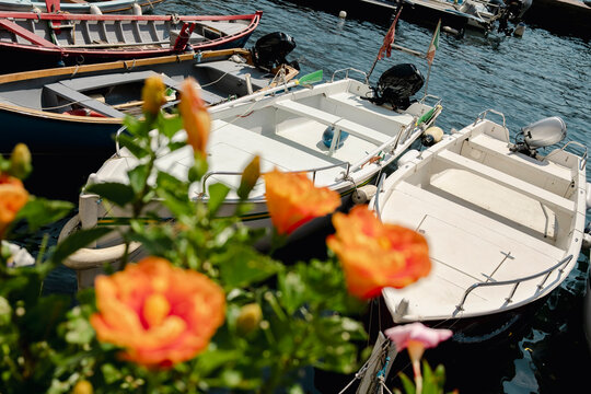 Small boats moored in sunny Mediterranean harbor with flowers