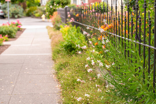 pleasant sidewalk flowers fence