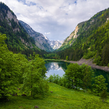 Lake Framed by Beech Trees in a Mountain Valley