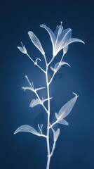 Obraz premium Elegant floral silhouette on blue background, perfect for mobile wallpaper.