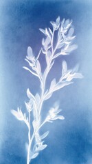 Obraz premium Blue cyanotype botanical branch, soft minimal abstract mobile wallpaper