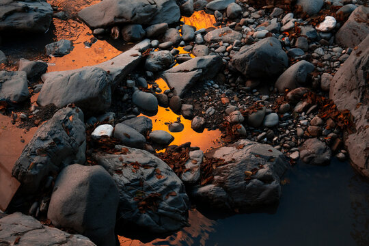 ORANGE PORTAL