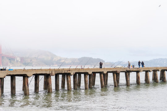 people on wooden pier