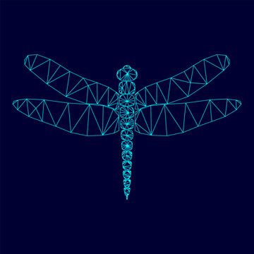 Dragonfly low poly triangulation triangulated polygonal electric cyan blue vibrant aqua neon color vector illustration image outline contour line