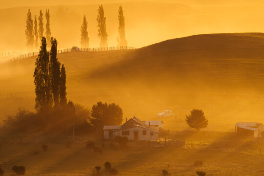Golden Light on Rural Farm