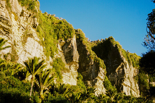 Stunning cliffs draped in lush green foliage in New Zealand