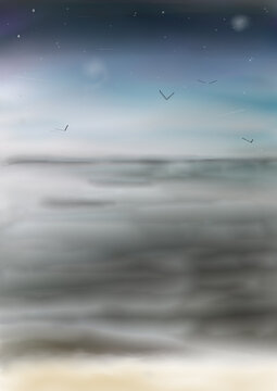 playa y Niebla