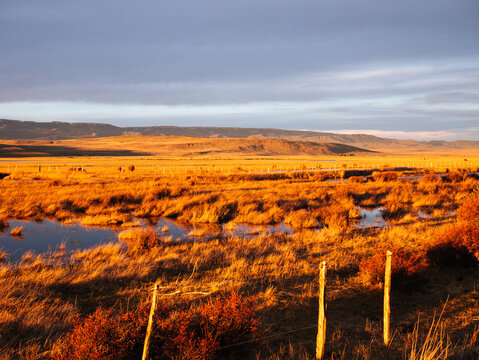 Marshland Glowing at Dusk in Balmaceda