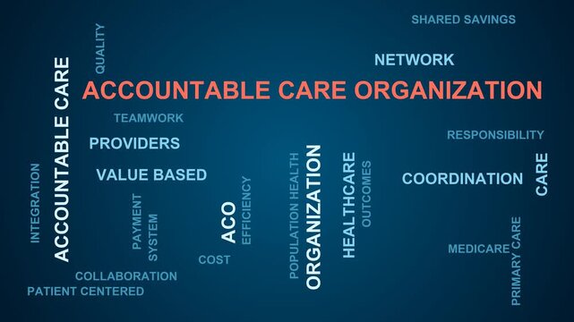 Accountable Care Organization Word Cloud
