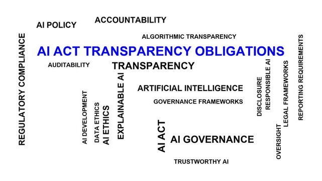 Ai Act Transparency Obligations Word Cloud