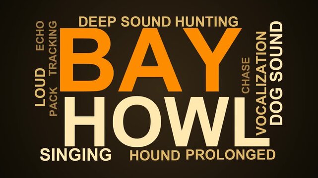Bay Word Cloud