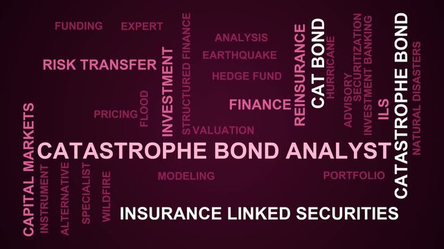 Catastrophe Bond Analyst Word Cloud