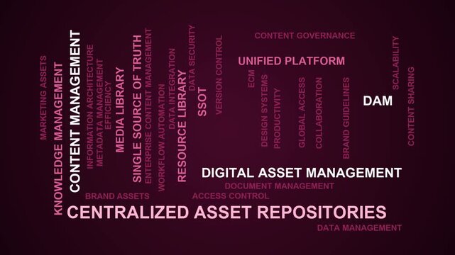 Centralized Asset Repositories Word Cloud