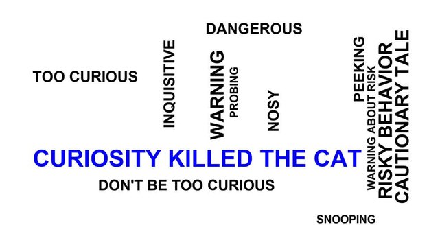 Curiosity Killed The Cat Word Cloud