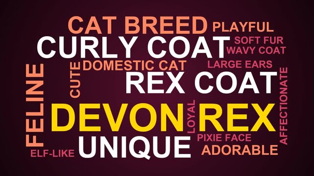 Devon Rex Word Cloud