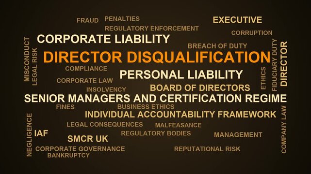 Director Disqualification Word Cloud