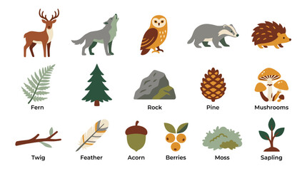 Obraz premium Forest nature collection featuring woodland animals and natural elements.